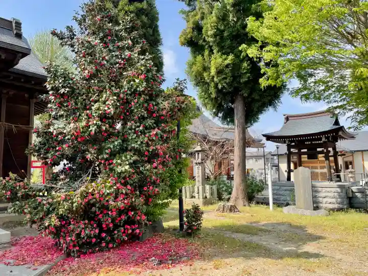 駒形神社(福島県)
