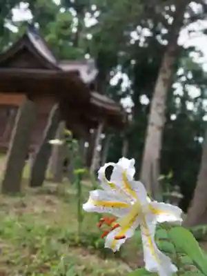 津島本宮社(宮城県)
