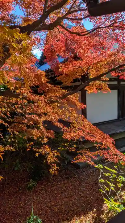 法金剛院(京都府)