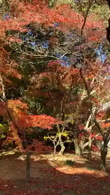 曹源寺(岡山県)