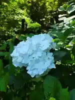 安國論寺(安国論寺)の自然