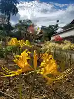 如宝寺(福島県)