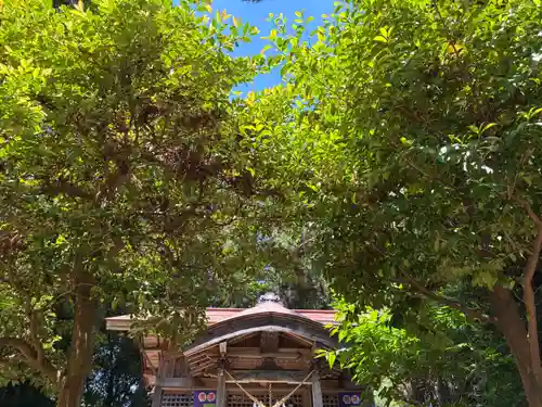八龍神社(茨城県)