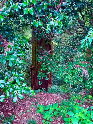 一之宮貫前神社(群馬県)