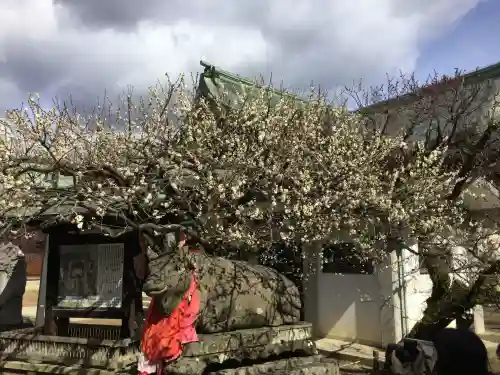 北野天満宮(京都府)