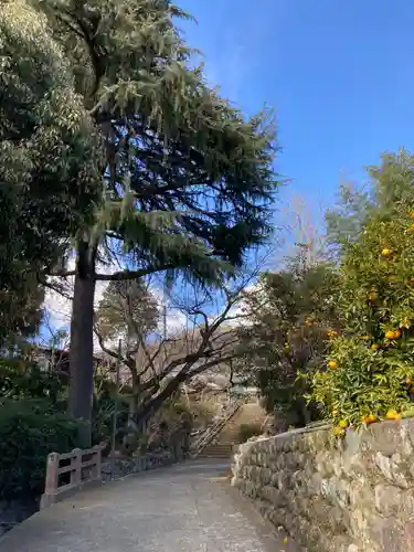 法輪寺(神奈川県)
