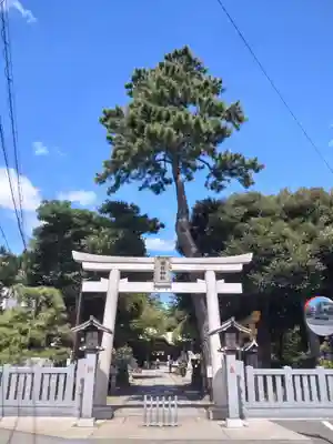 菊田神社の鳥居