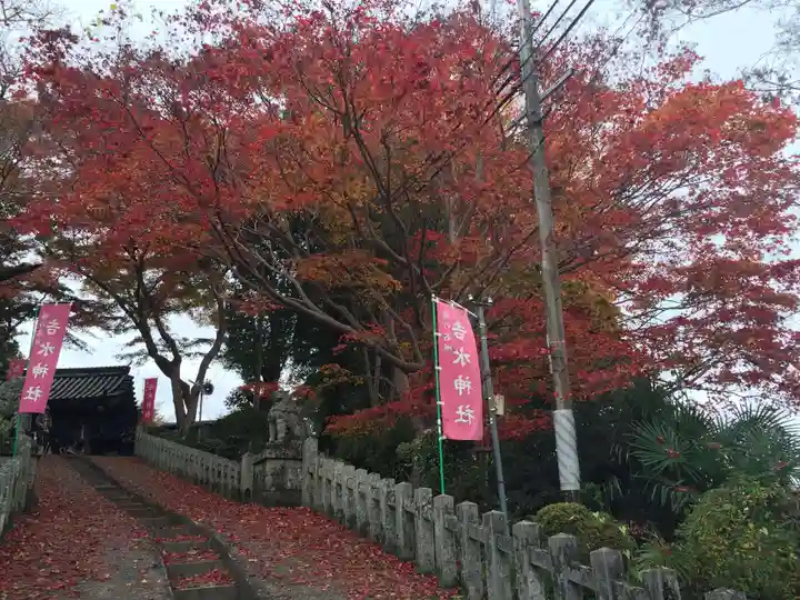 𠮷水神社(吉水神社)の自然