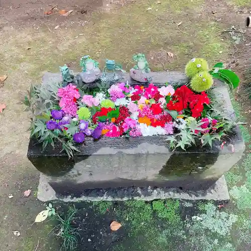 馬場氷川神社の手水