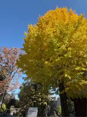 布多天神社(東京都)