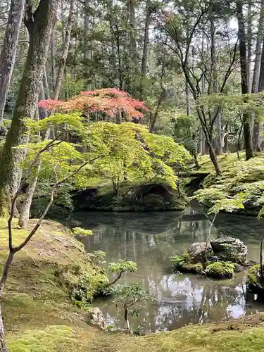 西芳寺の庭園