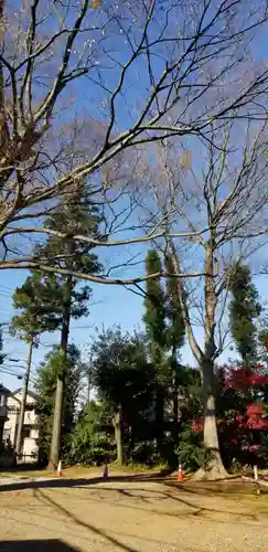 国府台天満宮の自然