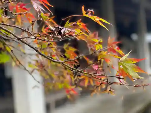 伊勢の国 四天王寺の自然