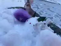 彌彦神社 (伊夜日子神社)の像