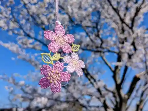 日本唯一香辛料の神　波自加彌神社の御朱印