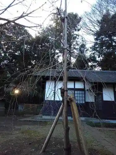 宝玉院の庭園