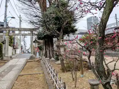 西向天神社(東京都)