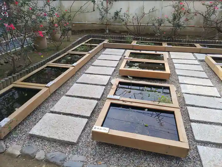 おふさ観音(観音寺)(奈良県)