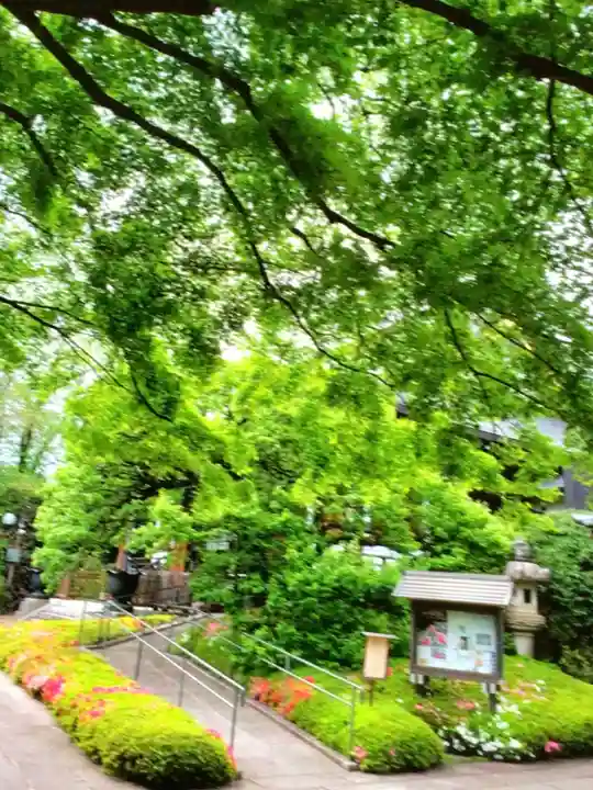 福蔵院(東京都)