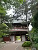 善導寺(群馬県)