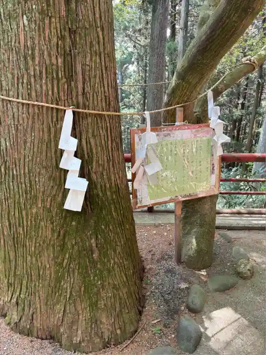 羽黒山神社(栃木県)
