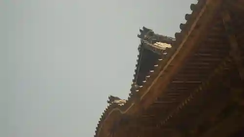 岡寺（龍蓋寺）(奈良県)