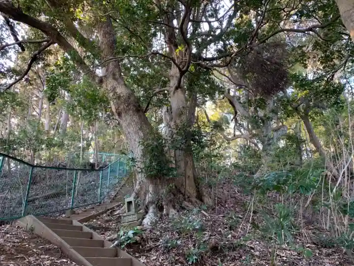 刀八神社の自然