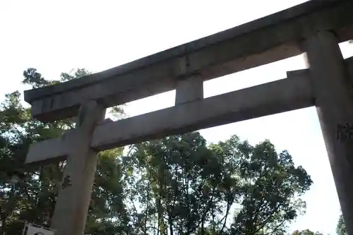 和歌山縣護國神社の鳥居