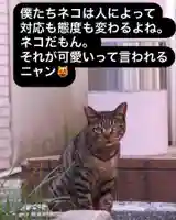 専念寺(大阪府)