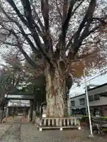 住吉神社(岩手県)