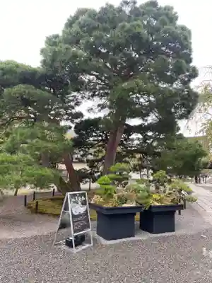 三宝院（三宝院門跡）(京都府)
