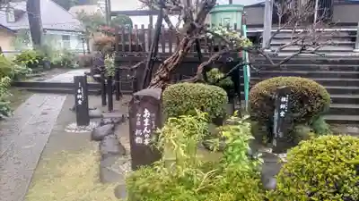 大蓮寺(神奈川県)