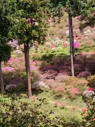 塩船観音寺の庭園