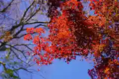 二本松神社の自然