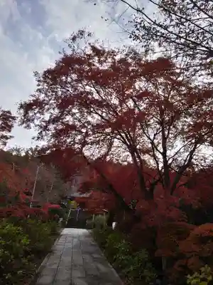 陽林寺(福島県)