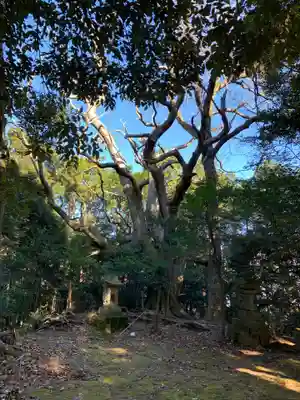 浅間神社(千葉県)