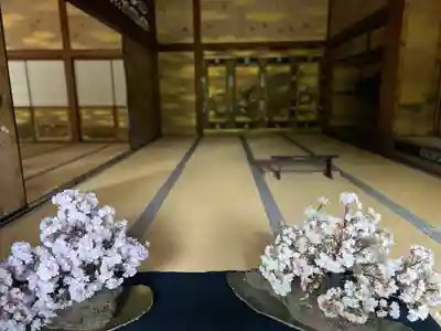 仁和寺(京都府)