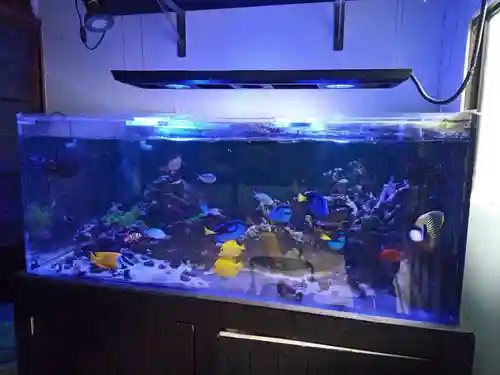 知足院(山梨県)