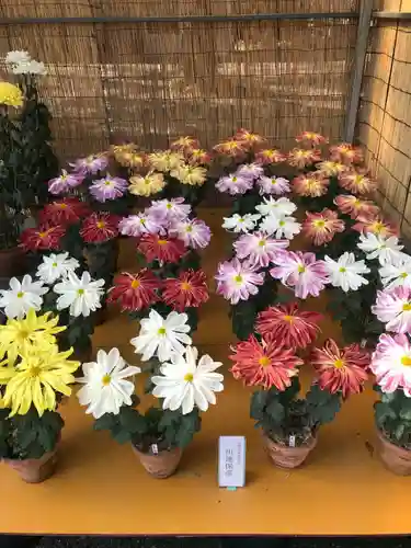 津島神社(愛知県)