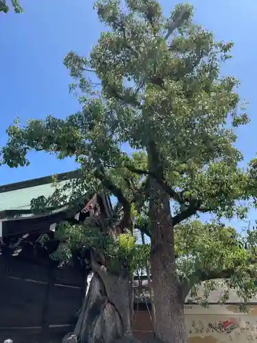 石清尾八幡宮(香川県)