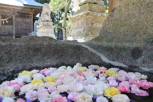 田村神社の手水舎