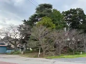 駒形神社(千葉県)