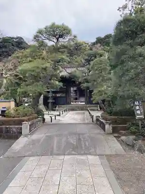 本蓮寺の山門・神門