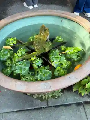 報国寺(神奈川県)