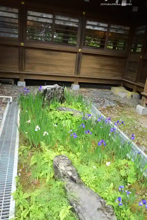 三峯神社(埼玉県)