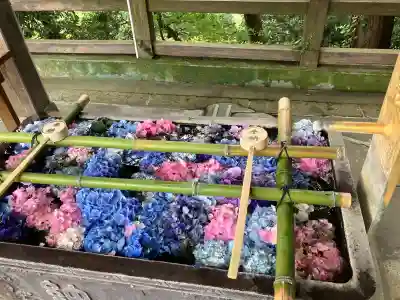 唐澤山神社(栃木県)