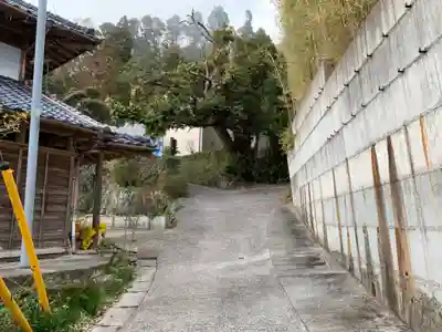 鹿島神社の周辺