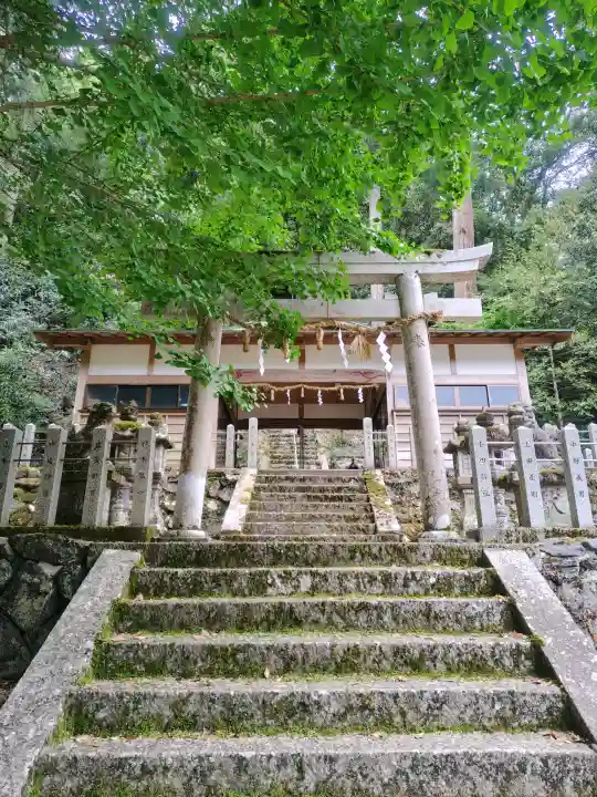 丹生神社の{uncategorized: "未分類", other: "その他", undefined: "問題あり", building: "その他建物", grave: "お墓", sacred_gate: "鳥居", guardian: "狛犬", statue: "像", buddha: "仏像", history: "歴史", nature: "自然", garden: "庭園", animal: "動物", pagoda: "塔", temizu: "手水舎", mountain_gate: "山門・神門", sanctuary: "本殿・本堂", subordinate: "末社・摂社", art: "芸術", scenery: "景色", jizo: "地蔵", ema: "絵馬", goshuin: "御朱印", omikuji: "おみくじ", items: "授与品その他", amulet: "お守り", goshuincho: "御朱印帳", eats: "食事", festival: "お祭り", votive_dance: "神楽", shichigosan: "七五三参", wedding: "結婚式", experience: "体験その他", initially: "初詣", around: "周辺", anti_infection: "感染症対策"}