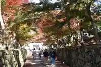興聖寺(興聖寶林禅寺)(京都府)