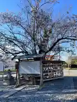 津島神社(宮城県)